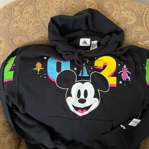 Disney 2024 Hoodie